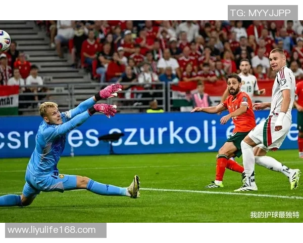 2018年国际友谊赛回顾葡萄牙与荷兰的精彩对决与战术分析 2018年国际友谊赛回顾葡萄牙与荷兰的精彩对决与战术分析