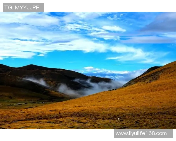 吕亦瑜的成长之路与人生哲学探讨：从平凡到卓越的心灵旅程