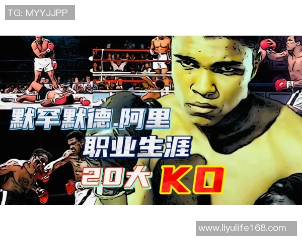 乔尔格的传奇人生与不凡成就探秘之旅